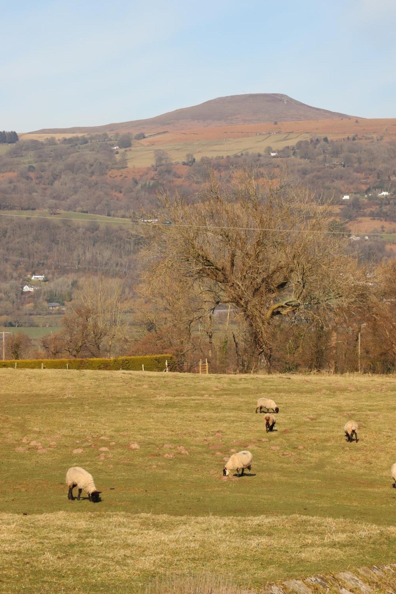 Cowshed In The Black Mountains Abergavenny Dış mekan fotoğraf